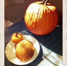 Wake up to Pumpkin Hazelnut Chocolate Chip Pancakes!!!! Gluten Free, Vegan YUM!